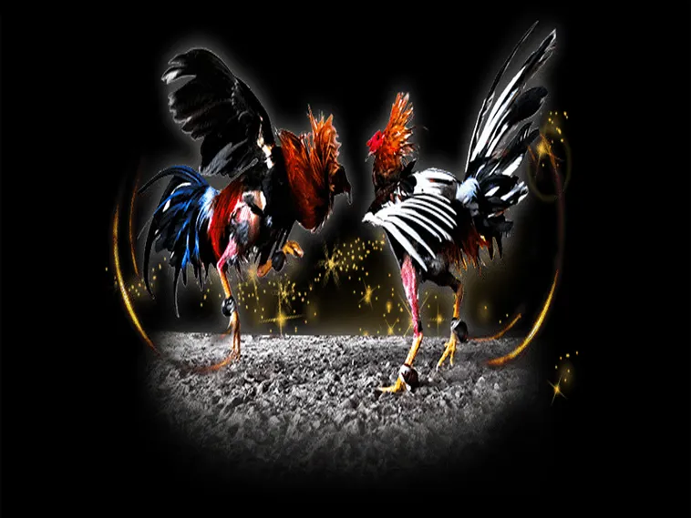 Cách Chơi Đá Gà Sabong Tại AE888 Chi Tiết Luật Cược Và Bí Quyết Thắng 1 Cách Chơi Đá Gà Sabong Tại AE888 Chi Tiết Luật Cược Và Bí Quyết Thắng