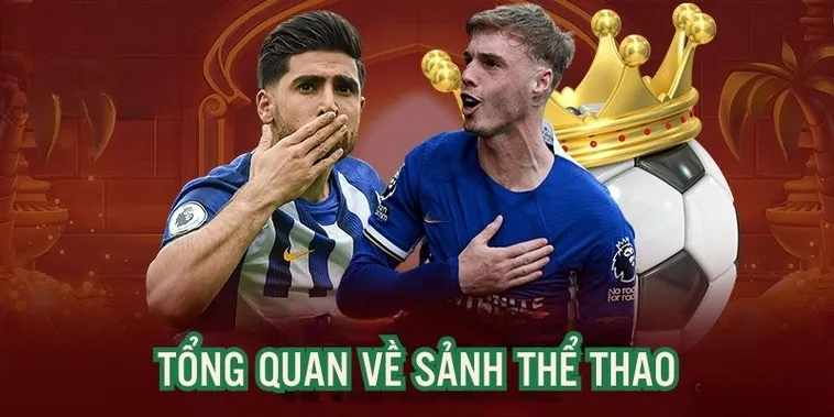 Thể Thao AE888 Trải Nghiệm Cá Cược Tốc Độ Cao Với Tỷ Lệ Kèo Chuẩn Quốc Tế